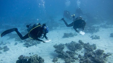 Reef Check 2016 at RSDS!